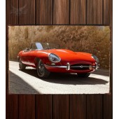 Металлическая табличка Jaguar E-Type Roadster (Series I) 338